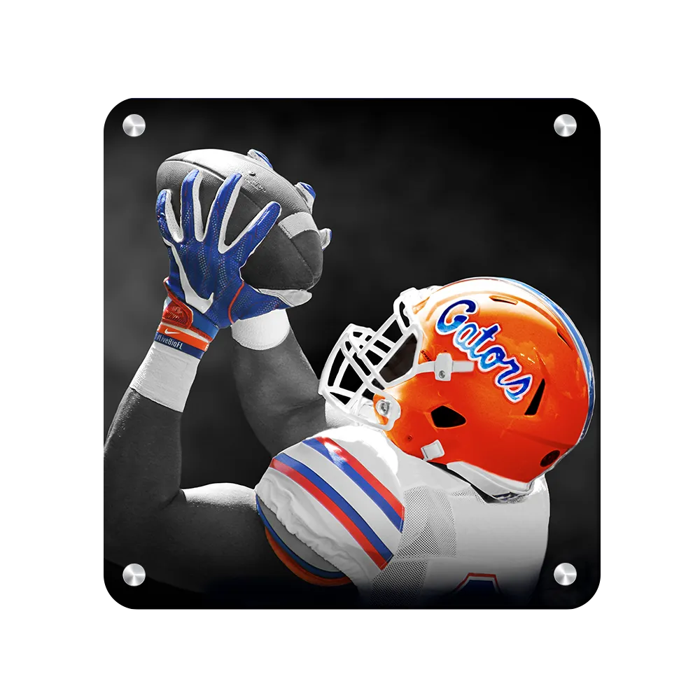 Florida Gators - The Catch