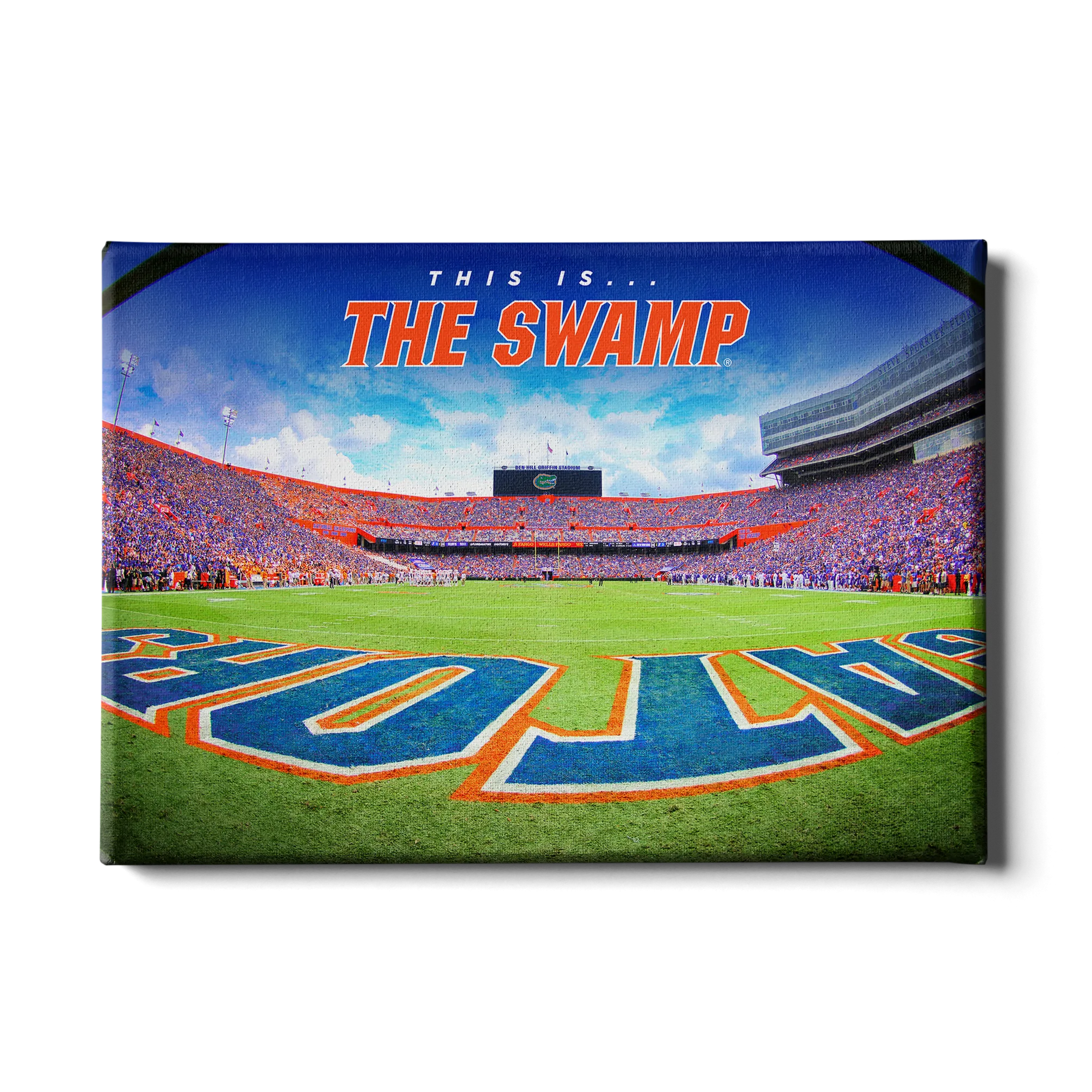 Florida Gators - This is the Swamp End Zone