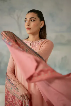 Kashmiri Pink Fall Embroidered Set NEL-23647