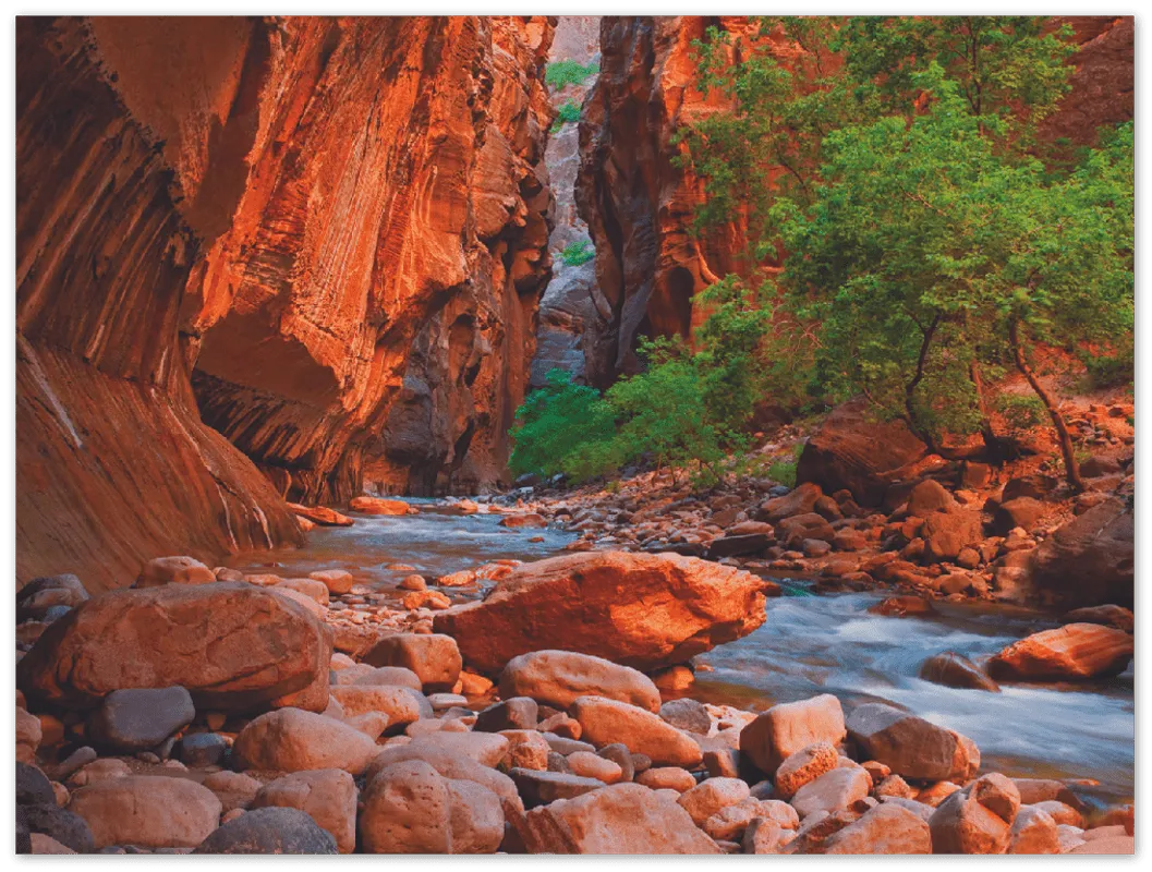 Virgin River, Zion National Park - Print