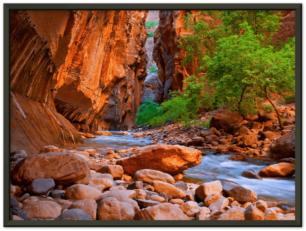 Virgin River, Zion National Park - Print