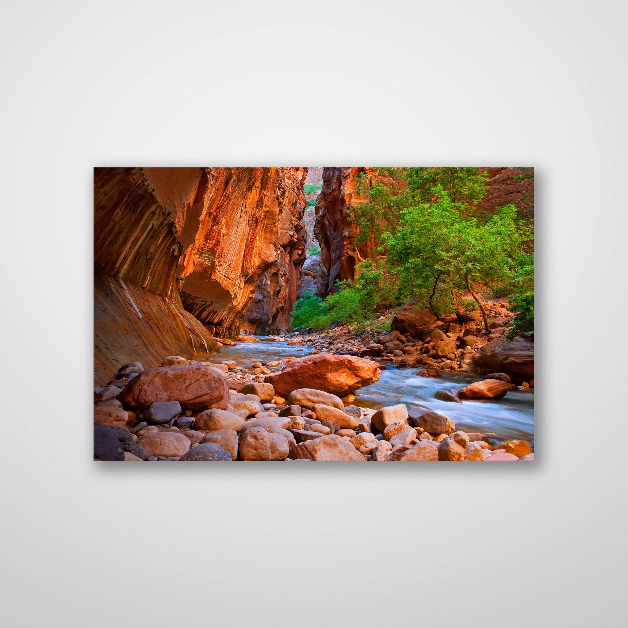 Virgin River, Zion National Park - Print